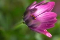 /album/water-drops/senza-titolo-6307-jpg/